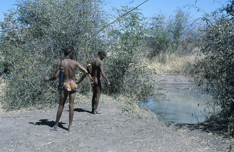 Bushmen at the waterhole looking for tracks