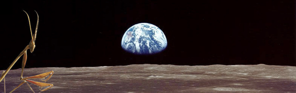 Earth Rise as seen from the Moon. Future Primal by Louis G. Herman